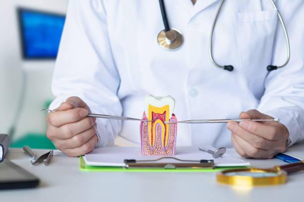 Best Pediatric Emergency Dentist in Manistique, MI